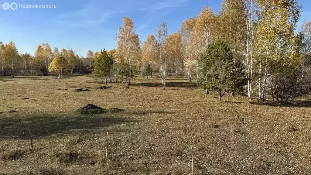 Участок в Тюмень, территория СОСН Берёзка-3 (5 м) - Фото 2