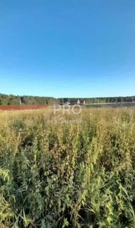 Участок в Ярославская область, Ярославский муниципальный округ, д. ... - Фото 2