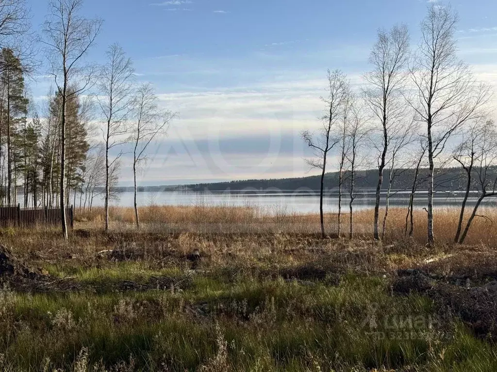 Участок в Ленинградская область, Приозерский район, Плодовское с/пос, ... - Фото 1