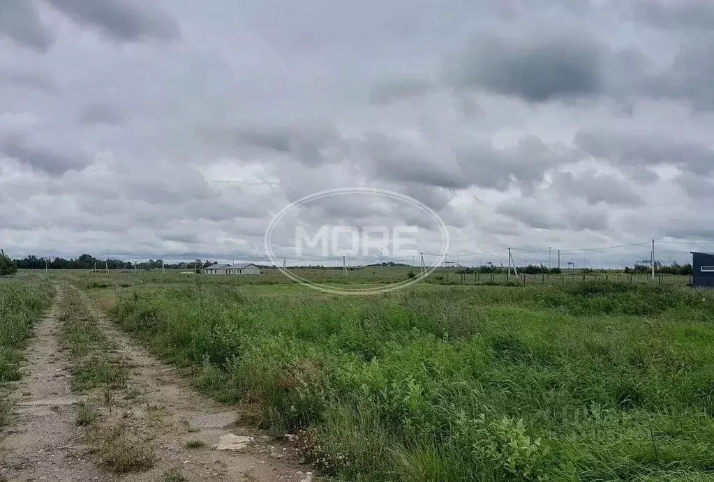 Участок в Калининградская область, Гурьевский муниципальный округ, ... - Фото 2