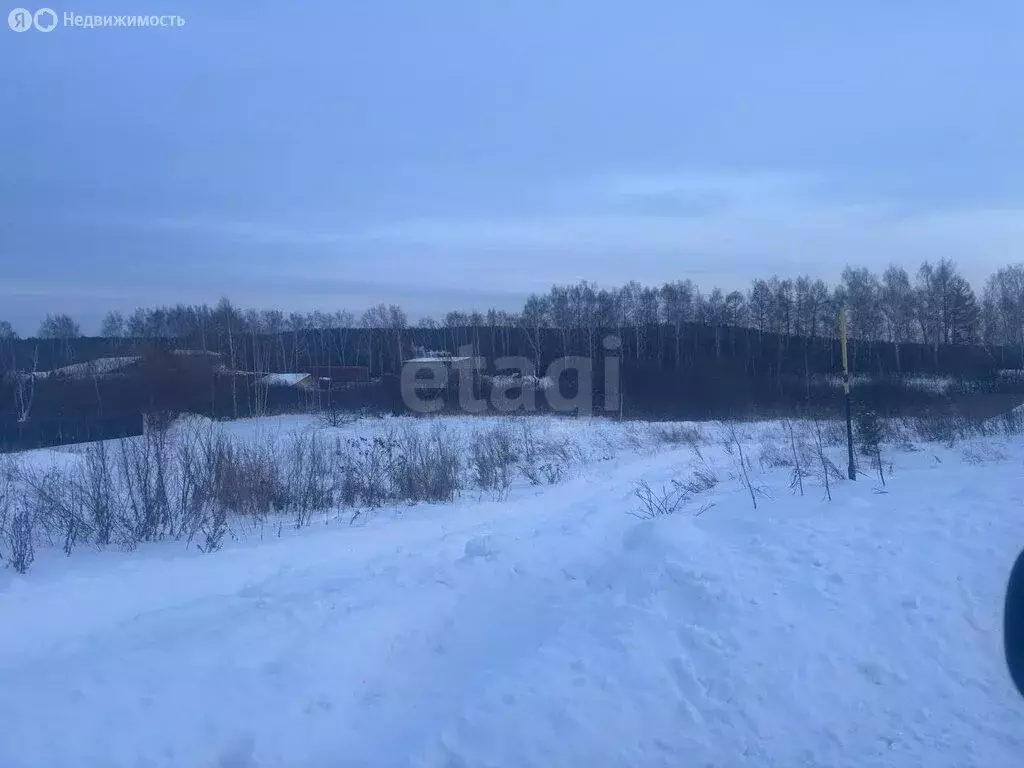 Участок в Ирбит, улица Пугачёва (6.04 м) - Фото 2