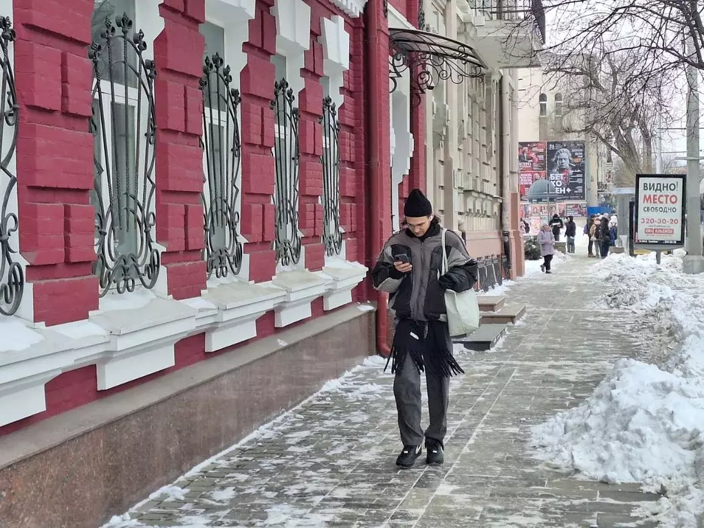 Торговая площадь в Ростовская область, Ростов-на-Дону Большая Садовая ... - Фото 2