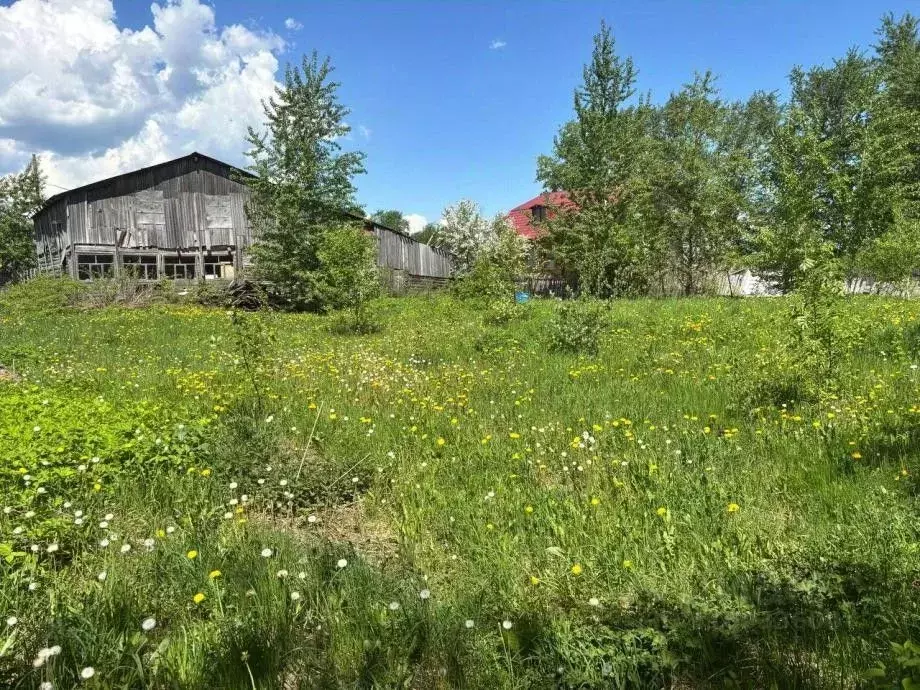Участок в Пермский край, Березники Полевая ул., 32 (14.3 сот.) - Фото 1