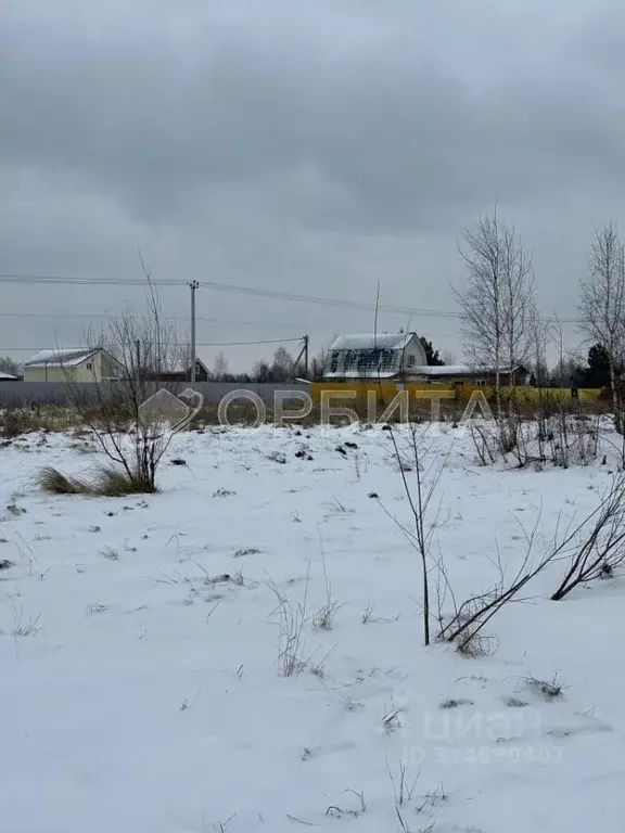 Участок в Тюменская область, Тюменский муниципальный округ, Лоза СНТ ... - Фото 1