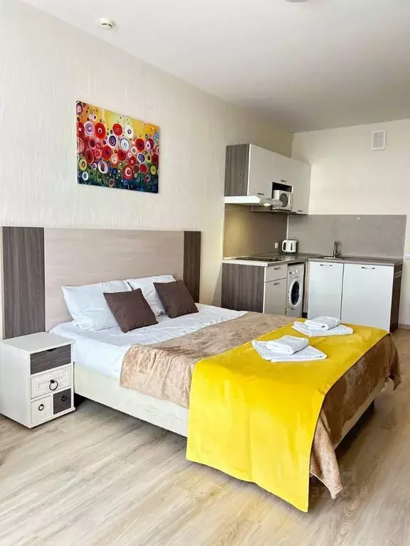 1-к кв. Санкт-Петербург Пулковское ш., 14Е (28.0 м) - Фото 1