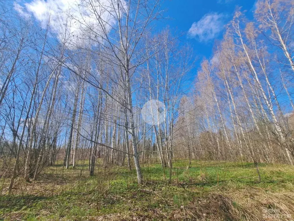 Участок 17,5 сот. (СНТ, ДНП) - Фото 0