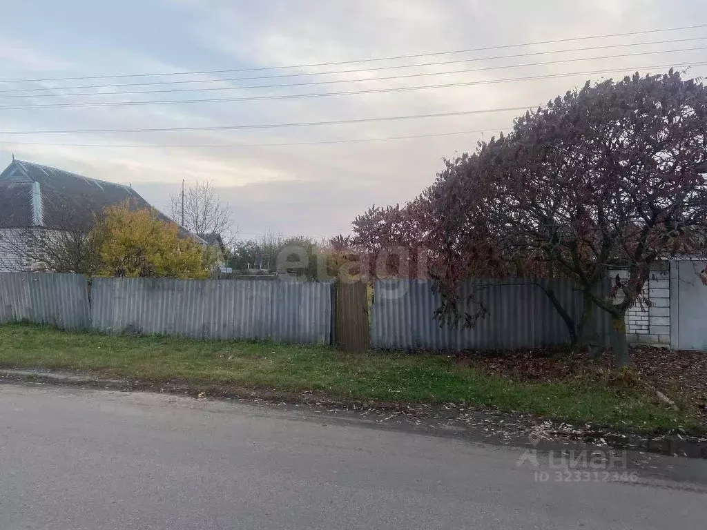 Участок в Белгородская область, Ивня рп, Исторический район совхоз  ... - Фото 1