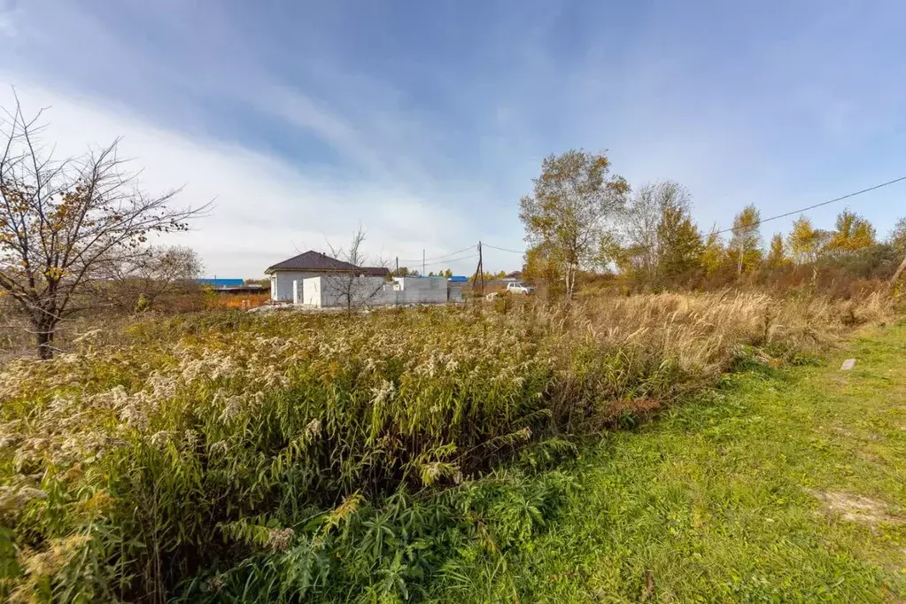 Участок в Хабаровский край, Хабаровский район, с. Сосновка ул. Николая ... - Фото 1