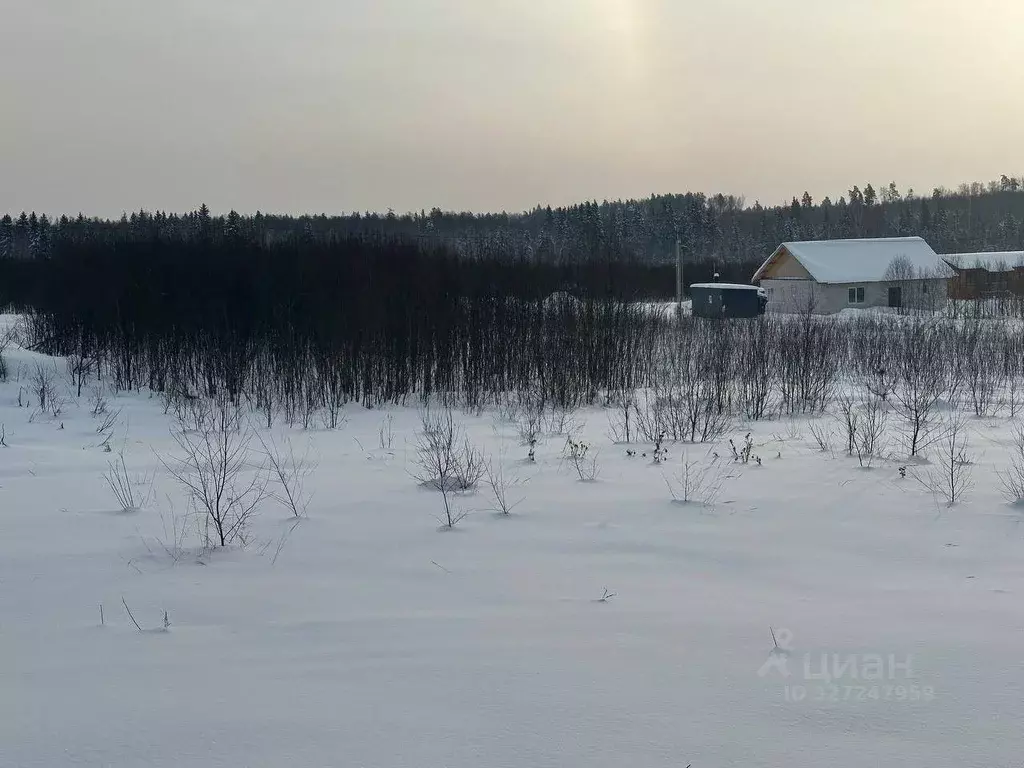 Участок в Московская область, Рузский муниципальный округ, д. Леньково ... - Фото 2