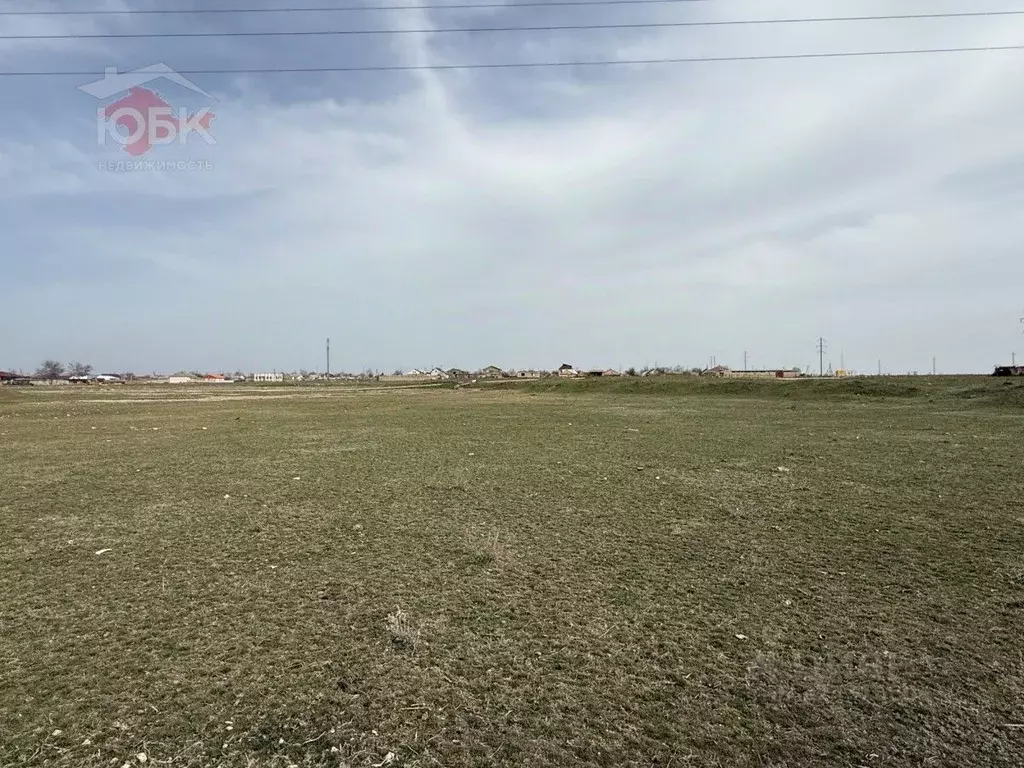 Участок в Крым, Сакский район, Молочненское с/пос, с. Абрикосовка  ... - Фото 1