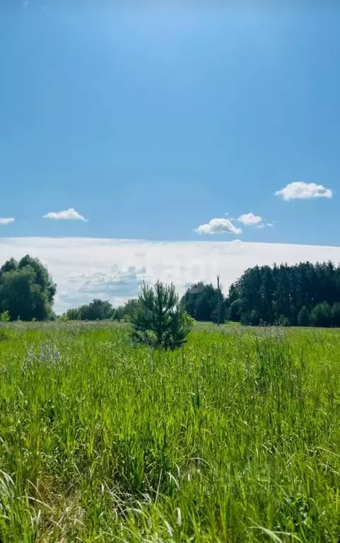 Участок в Татарстан, Лаишевский район, Егорьевское с/пос, с. Бима  ... - Фото 2