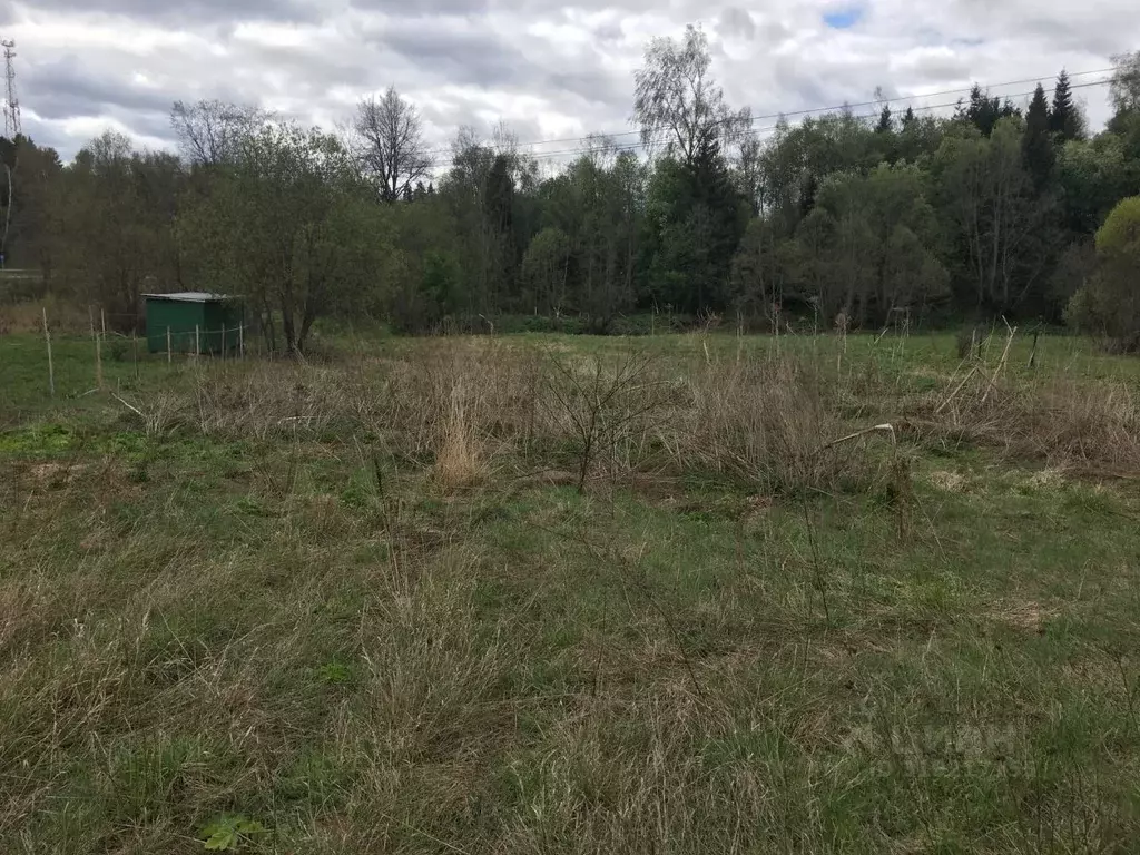 Участок в Московская область, Пушкинский городской округ, д. Раково  ... - Фото 0