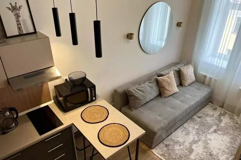 1-к кв. Татарстан, Казань ул. Карла Маркса, 11А (25.0 м) - Фото 1