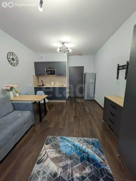 Квартира-студия: Санкт-Петербург, Фарфоровская улица, 7к2 (24 м) - Фото 2