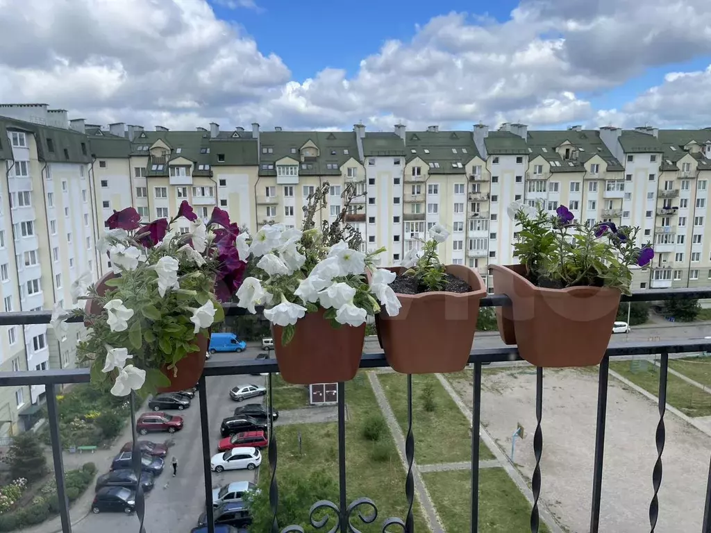 2-к. квартира, 55 м, 8/9 эт. - Фото 1