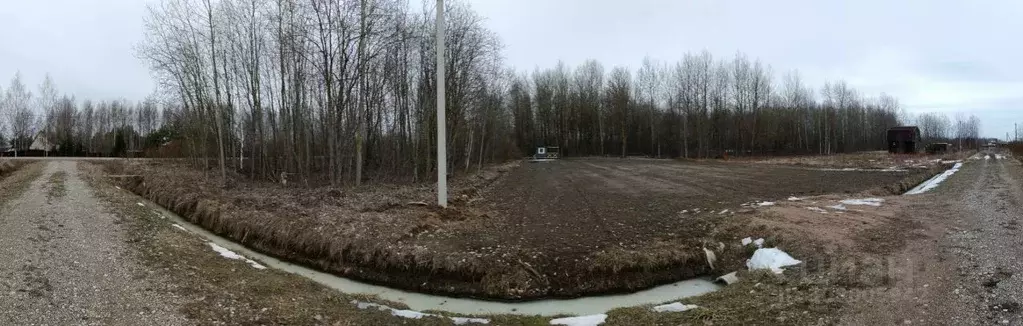 Участок в Новгородская область, Новгородский район, Ракомское с/пос, ... - Фото 1