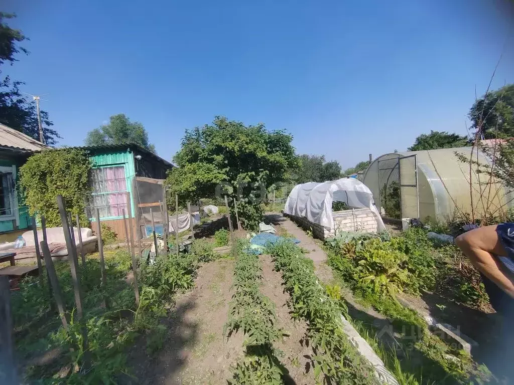 Дом в Амурская область, Свободный ул. 3-я Залинейная, 15 (34 м) - Фото 1