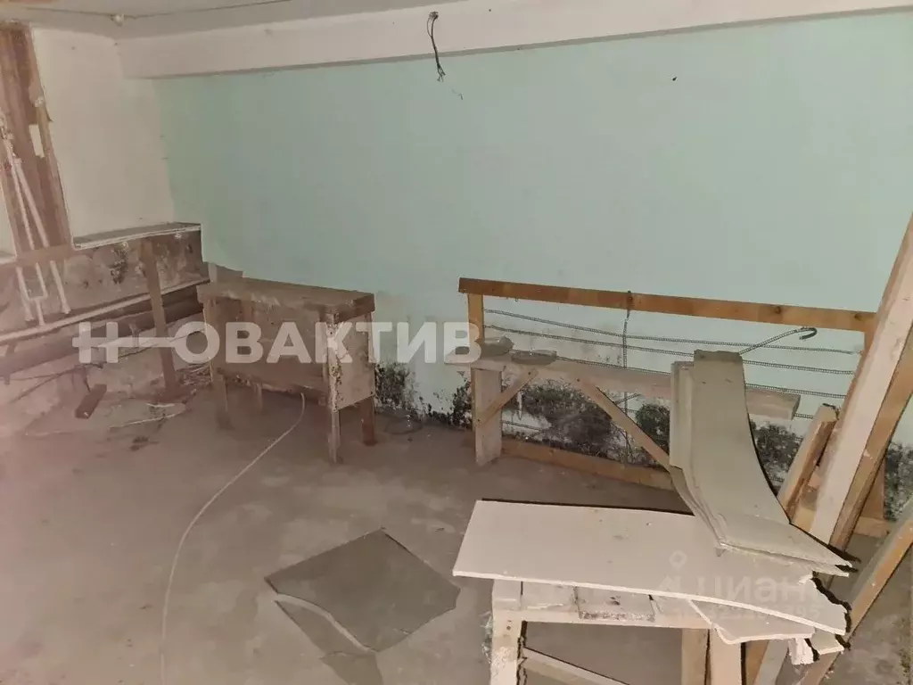 Помещение свободного назначения в Новосибирская область, Новосибирск ... - Фото 2