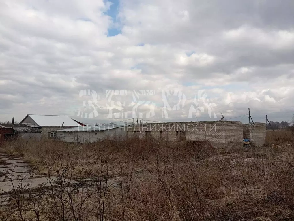 Помещение свободного назначения в Владимирская область, ... - Фото 1