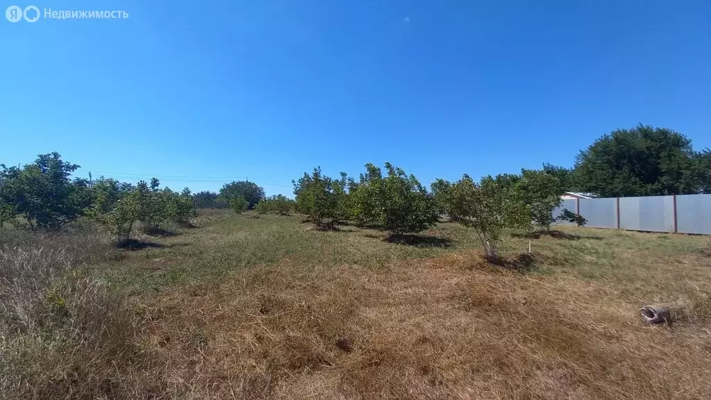 Участок в Краснодарский край, муниципальный округ Анапа, хутор ... - Фото 1
