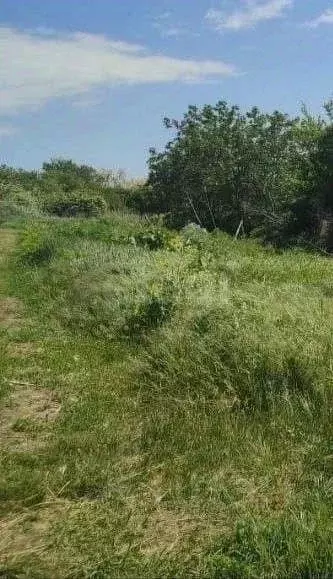 Участок в Ростовская область, Родионово-Несветайский район, ... - Фото 1