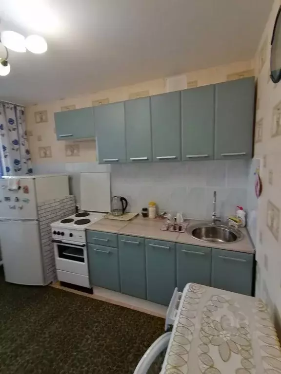 1-к кв. Новосибирская область, Бердск ул. Рогачева, 49 (43.1 м) - Фото 1