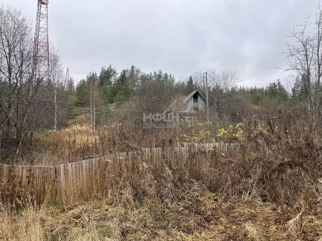 Участок в Карелия, Прионежский район, Шуйское с/пос, Шуйская ст. ул. ... - Фото 1