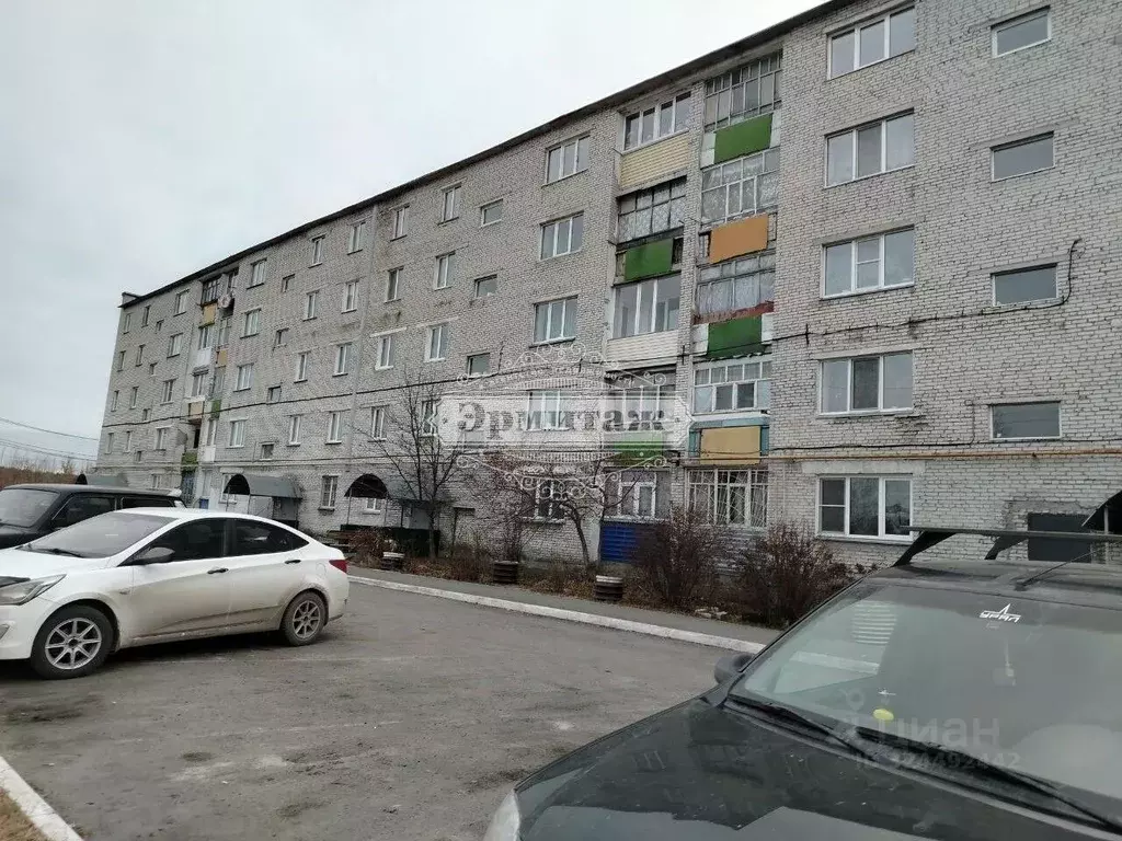 3-к кв. Курганская область, Кетовский муниципальный округ, с. Просвет ... - Фото 1