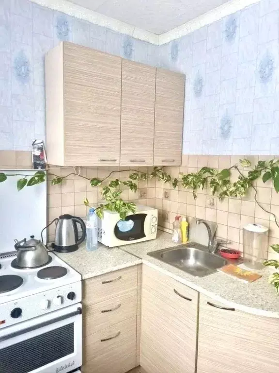 1-к кв. Алтайский край, Барнаул ул. Энтузиастов, 32 (33.0 м) - Фото 1