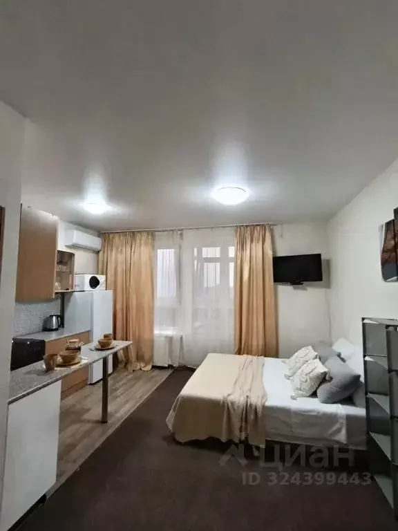 Студия Краснодарский край, Анапа ул. Ивана Голубца, 147 (30.0 м) - Фото 1