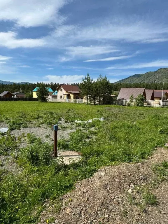 Участок в Алтай, Чемальский район, с. Чемал ул. Березовая, 19 (11.85 ... - Фото 1