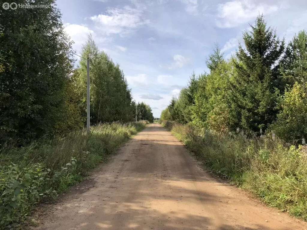 Участок в Кировская область, Слободской муниципальный район, Бобинское ... - Фото 2