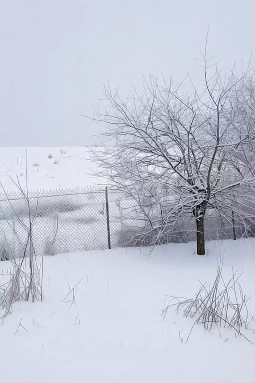 Дом в Тульская область, Щекинский район, Лазаревское с/пос, д. Старая ... - Фото 1