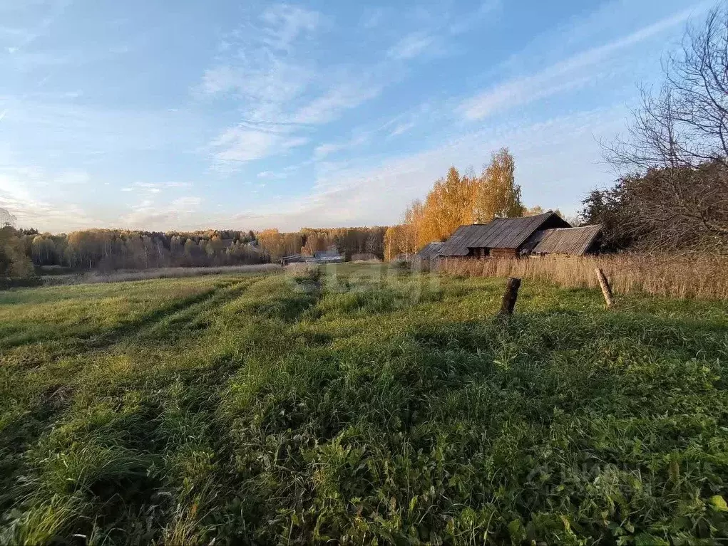 Участок в Удмуртия, Увинский район, д. Косоево  (50.0 сот.) - Фото 2