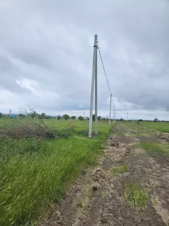 Участок в Крым, Керчь Дельфин садовое товарищество, ул. Чехова, 9 ... - Фото 0