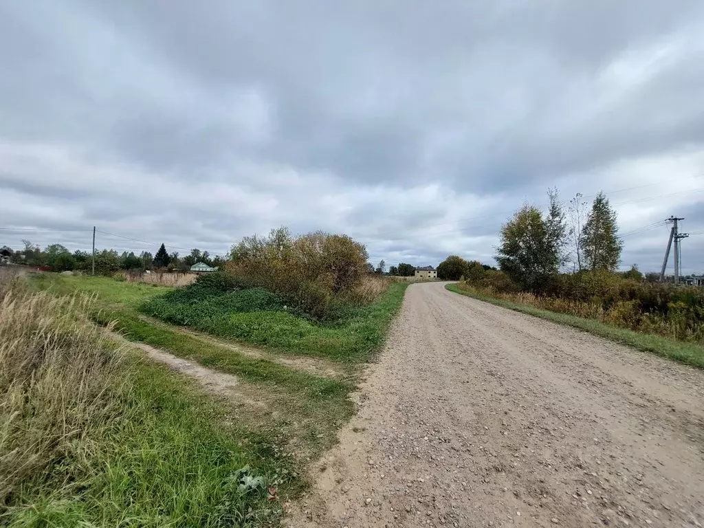Участок в Ярославская область, Ярославский муниципальный округ, д. ... - Фото 2