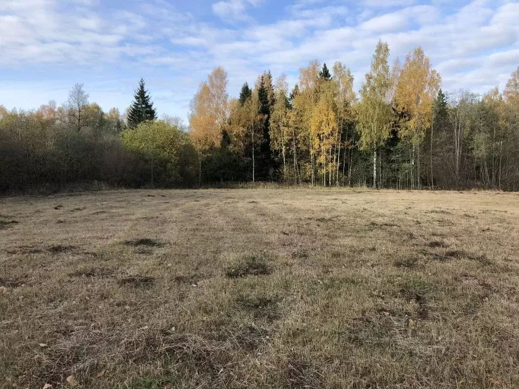 Участок в Московская область, Рузский муниципальный округ, Петряиха кп ... - Фото 0