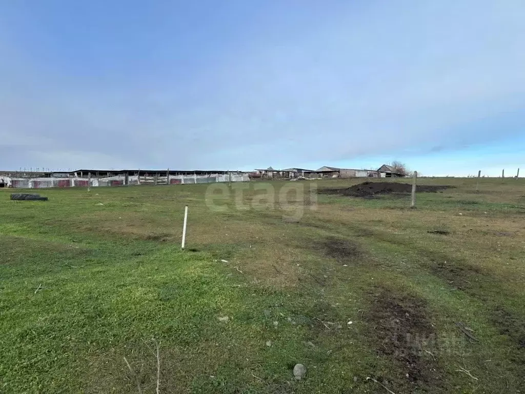 Участок в Ингушетия, Назрань Центральный административный округ,  (6.0 ... - Фото 2