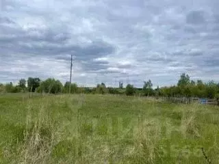 Участок в Свердловская область, Талица ул. Луначарского (11.0 сот.) - Фото 1