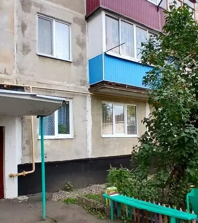 2-к кв. Оренбургская область, Кувандык ул. Мичурина, 2Б (47.3 м) - Фото 1