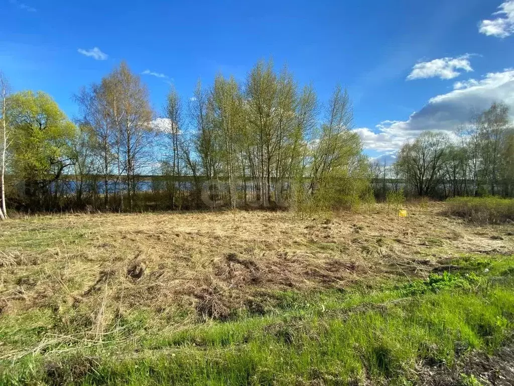 Участок в Ярославская область, Некрасовский муниципальный округ, д. ... - Фото 1