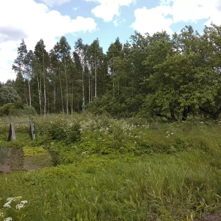 Дом в Валдайский район, М-10 Россия, 378-й километр (42.4 м) - Фото 1