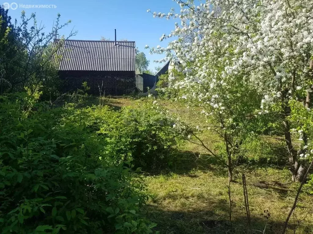 Дом в Тюмень, СНТ Сибиряк (20 м) - Фото 2