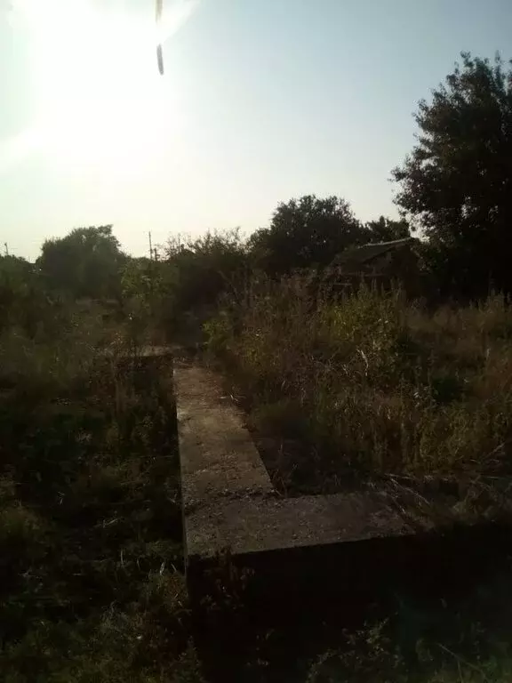 Участок в Славное, Крымская улица, 15 (10 м) - Фото 1