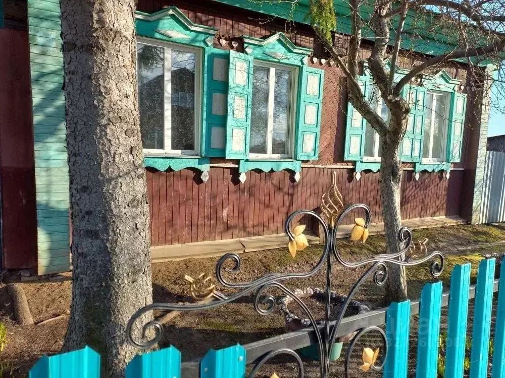 Дом в Курганская область, с. Белозерское ул. Калинина (45 м) - Фото 1