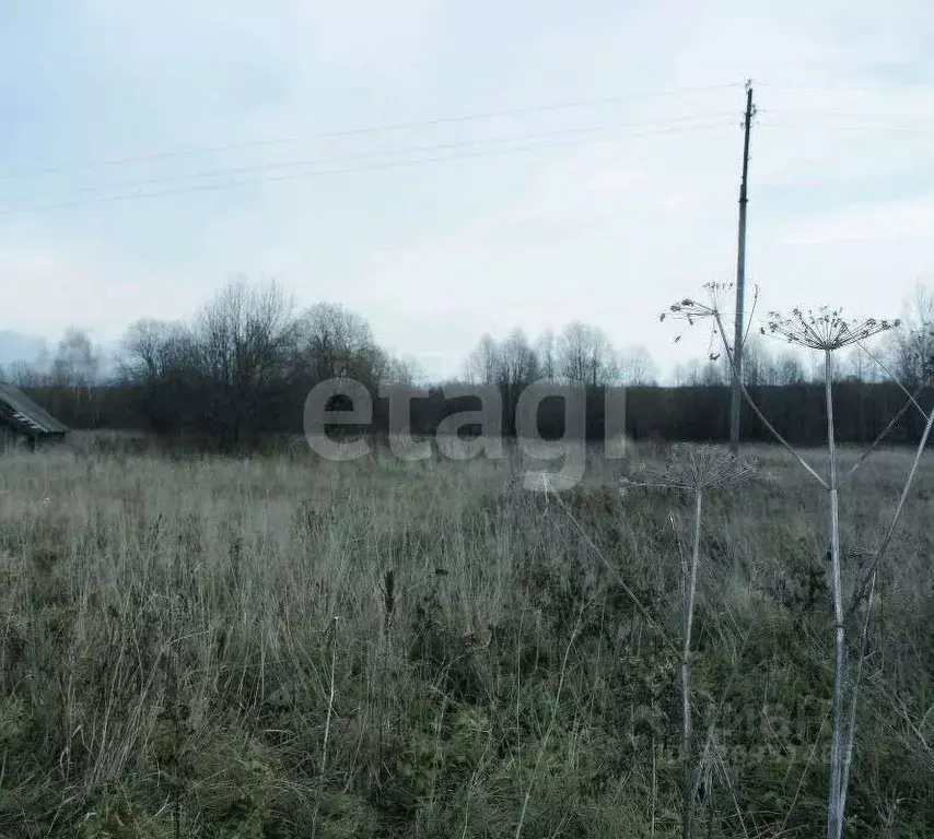 Участок в Ярославская область, Ярославль Дудкино СНТ,  (4.0 сот.) - Фото 1