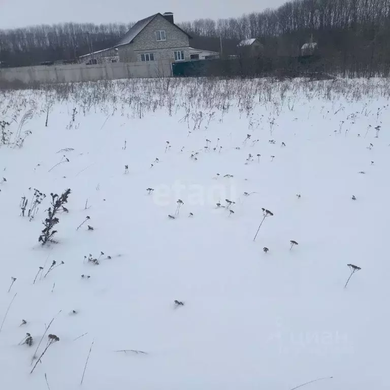 Участок в Белгородская область, Строитель Яковлевский городской округ, ... - Фото 2