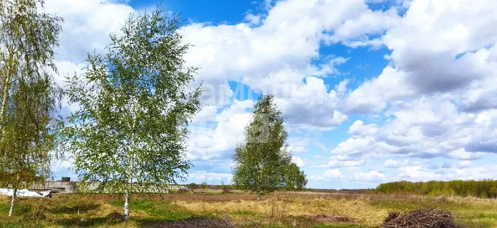 Дом в Берёзовка, Центральная улица, 55 (65 м) - Фото 0