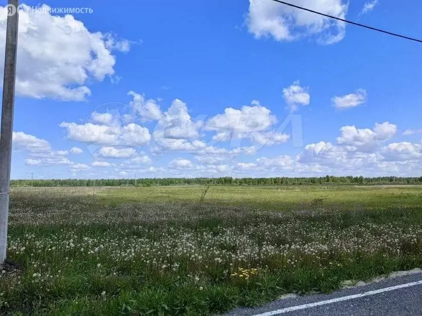 Участок в Тюменский район, деревня Елань (8 м) - Фото 0