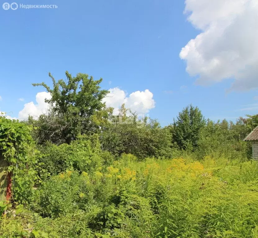 Участок в Инзенский район, село Черёмушки (4 м) - Фото 1